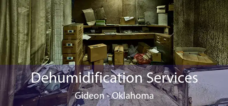 Dehumidification Services Gideon - Oklahoma