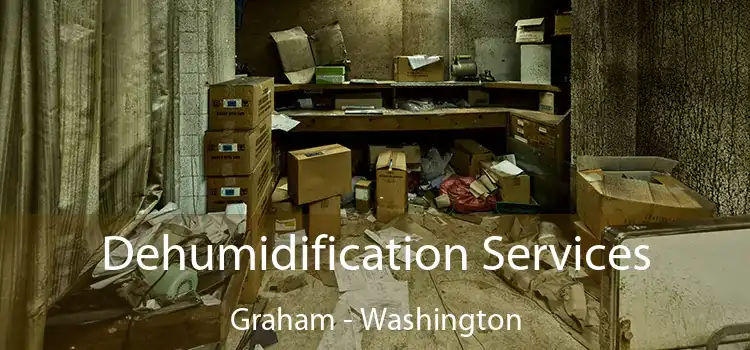 Dehumidification Services Graham - Washington