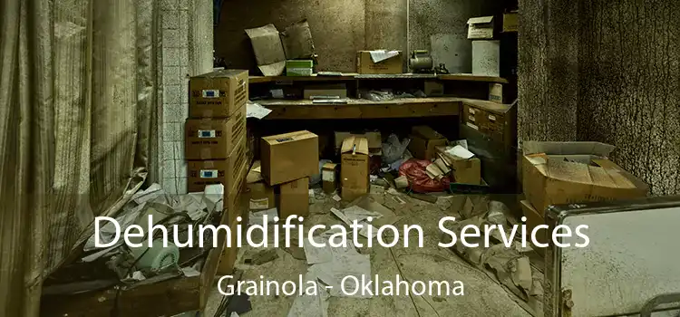 Dehumidification Services Grainola - Oklahoma