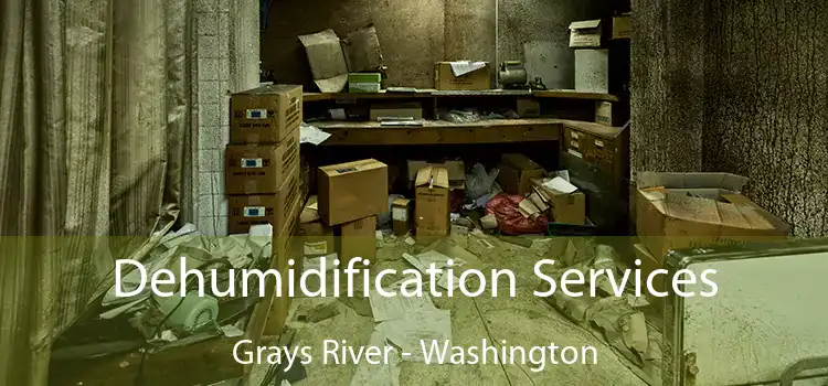 Dehumidification Services Grays River - Washington