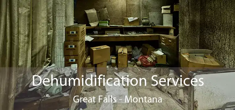 Dehumidification Services Great Falls - Montana