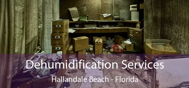 Dehumidification Services Hallandale Beach - Florida