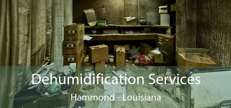 Dehumidification Services Hammond - Louisiana