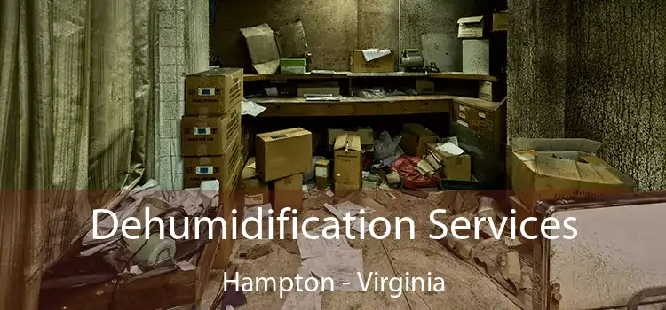 Dehumidification Services Hampton - Virginia