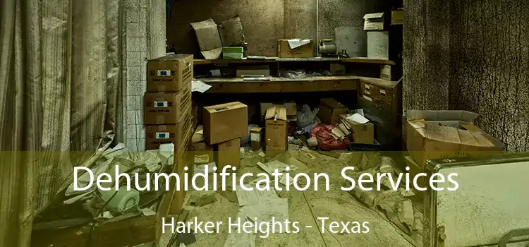 Dehumidification Services Harker Heights - Texas