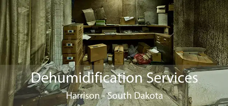 Dehumidification Services Harrison - South Dakota