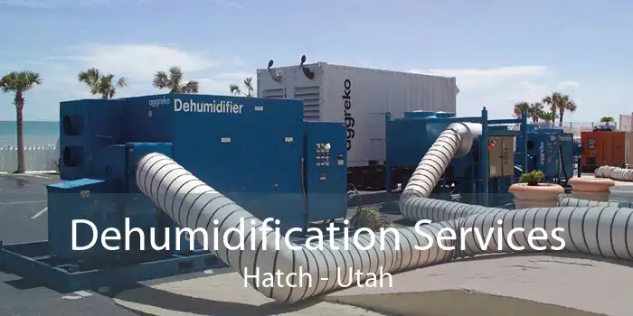 Dehumidification Services Hatch - Utah