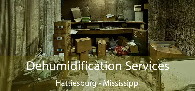 Dehumidification Services Hattiesburg - Mississippi