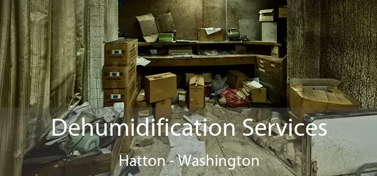 Dehumidification Services Hatton - Washington