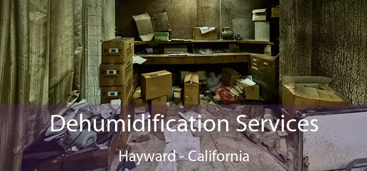 Dehumidification Services Hayward - California