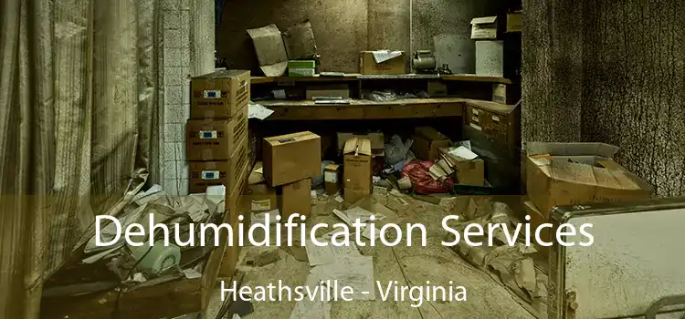 Dehumidification Services Heathsville - Virginia