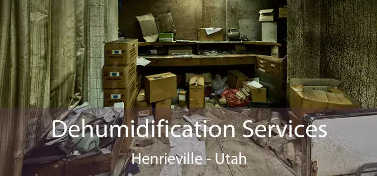 Dehumidification Services Henrieville - Utah