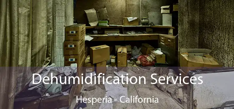 Dehumidification Services Hesperia - California