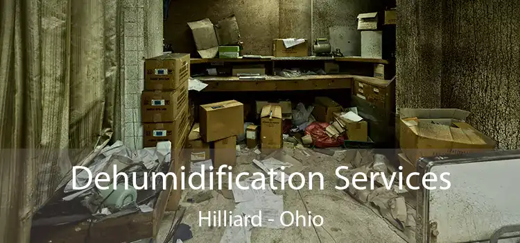 Dehumidification Services Hilliard - Ohio