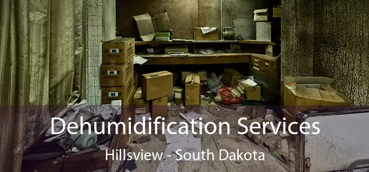 Dehumidification Services Hillsview - South Dakota