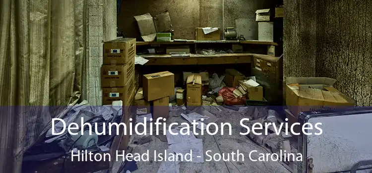 Dehumidification Services Hilton Head Island - South Carolina