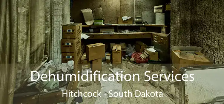 Dehumidification Services Hitchcock - South Dakota