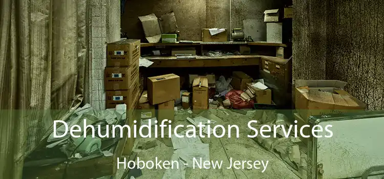 Dehumidification Services Hoboken - New Jersey