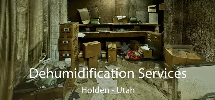 Dehumidification Services Holden - Utah