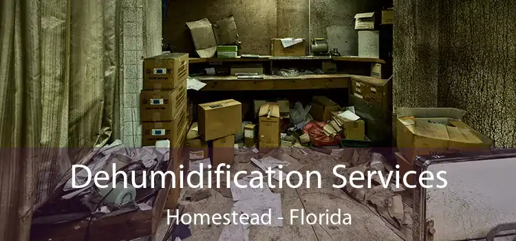 Dehumidification Services Homestead - Florida