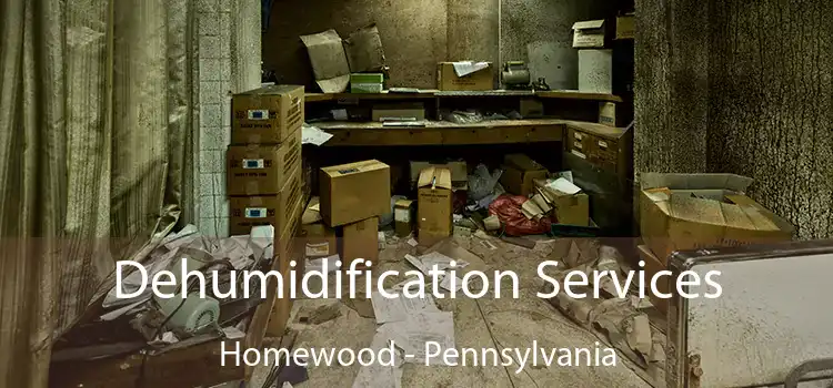 Dehumidification Services Homewood - Pennsylvania