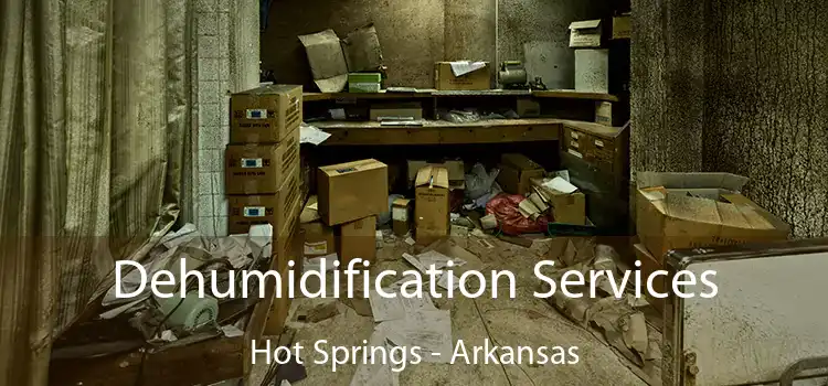 Dehumidification Services Hot Springs - Arkansas