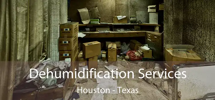 Dehumidification Services Houston - Texas