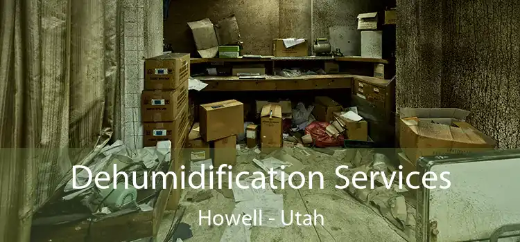 Dehumidification Services Howell - Utah