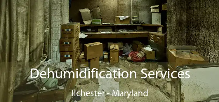 Dehumidification Services Ilchester - Maryland