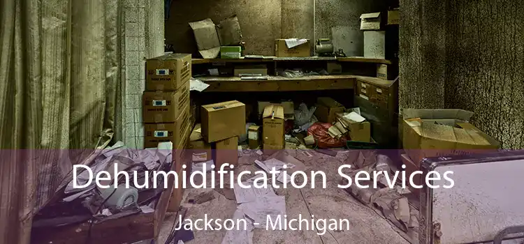 Dehumidification Services Jackson - Michigan