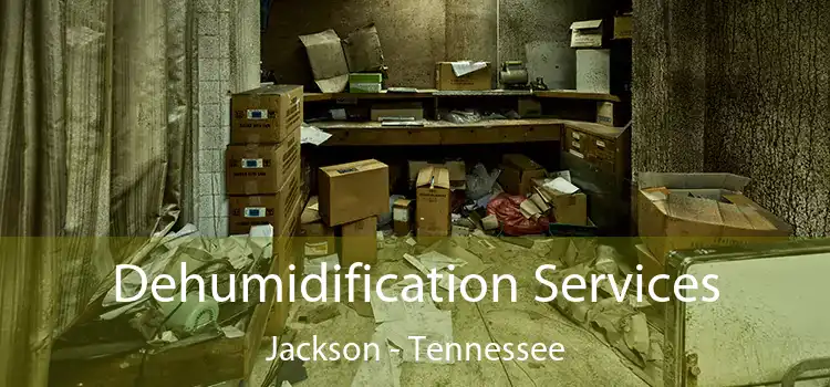 Dehumidification Services Jackson - Tennessee