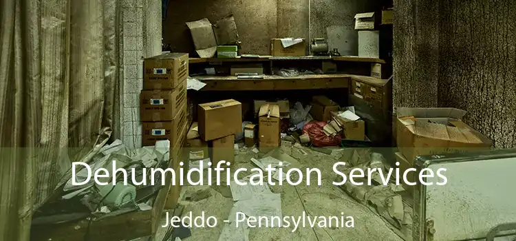 Dehumidification Services Jeddo - Pennsylvania