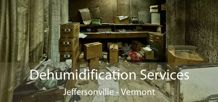 Dehumidification Services Jeffersonville - Vermont