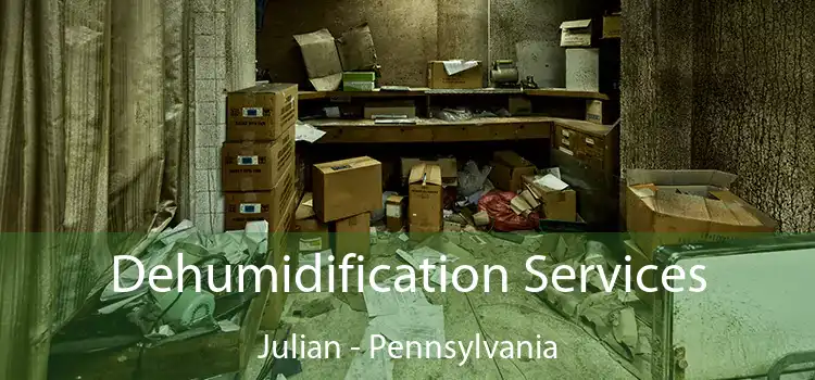 Dehumidification Services Julian - Pennsylvania