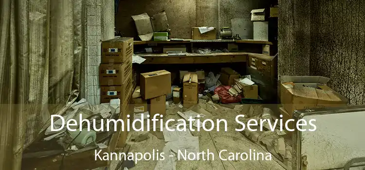 Dehumidification Services Kannapolis - North Carolina