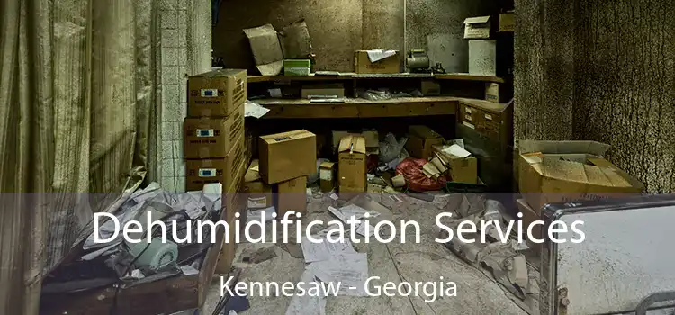 Dehumidification Services Kennesaw - Georgia