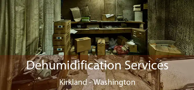 Dehumidification Services Kirkland - Washington