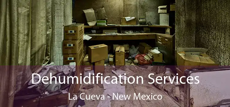 Dehumidification Services La Cueva - New Mexico