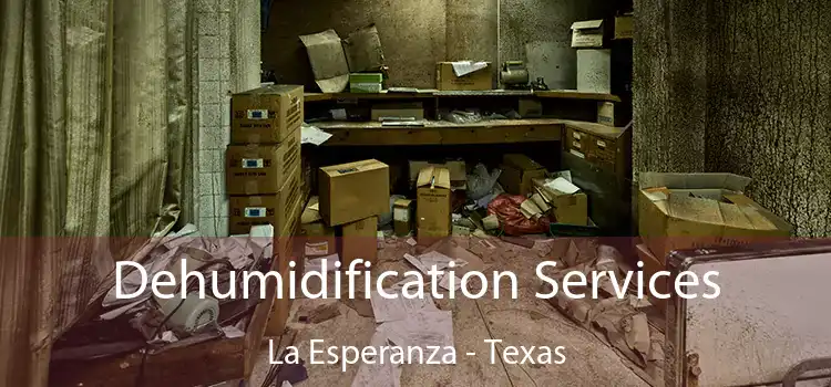 Dehumidification Services La Esperanza - Texas