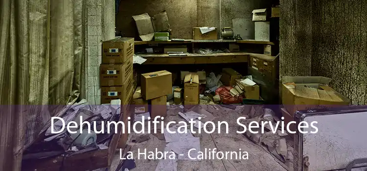 Dehumidification Services La Habra - California