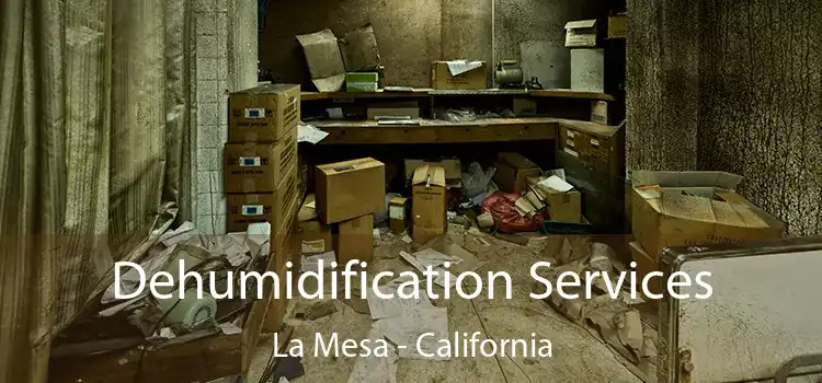 Dehumidification Services La Mesa - California