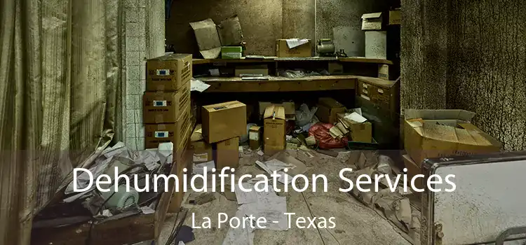 Dehumidification Services La Porte - Texas