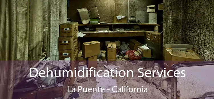 Dehumidification Services La Puente - California