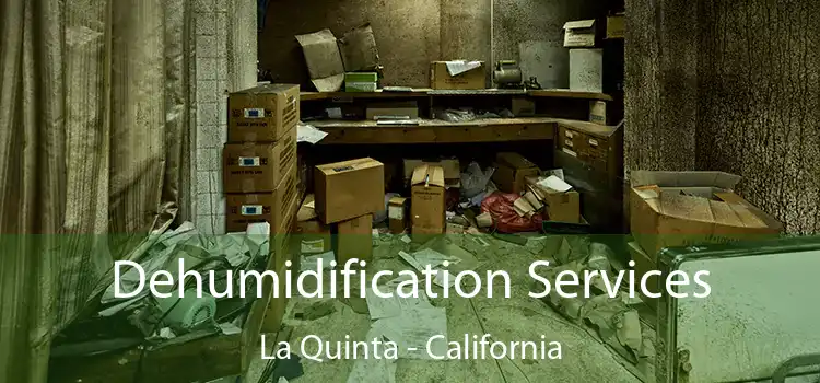 Dehumidification Services La Quinta - California