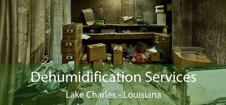 Dehumidification Services Lake Charles - Louisiana