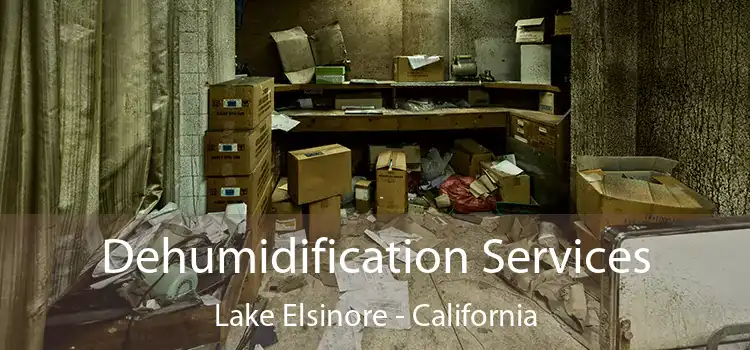 Dehumidification Services Lake Elsinore - California