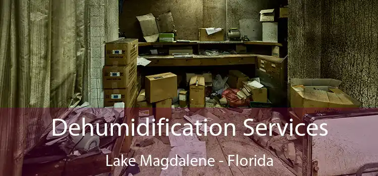 Dehumidification Services Lake Magdalene - Florida