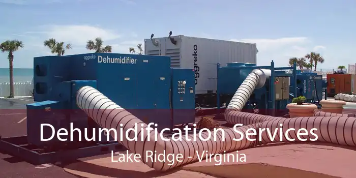 Dehumidification Services Lake Ridge - Virginia
