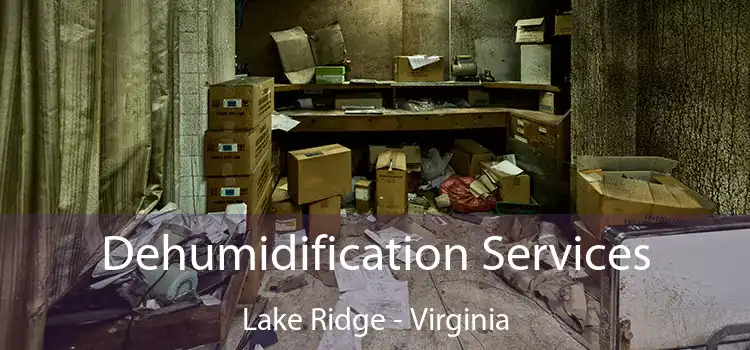 Dehumidification Services Lake Ridge - Virginia