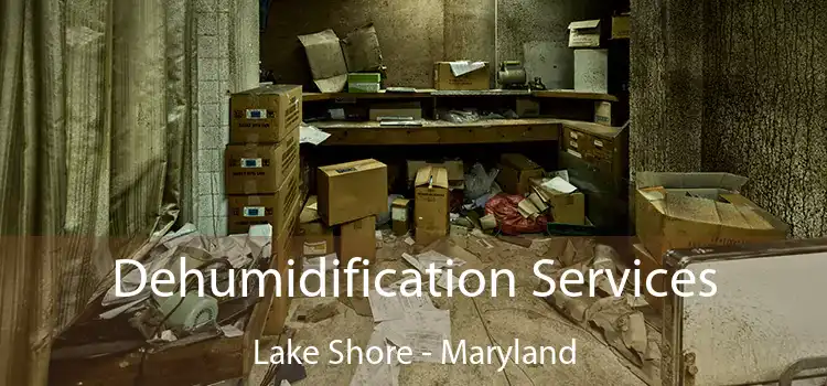 Dehumidification Services Lake Shore - Maryland